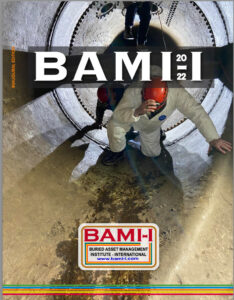 BAMI-I Journal 2022 Cover image