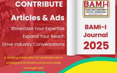 Call for Submissions: BAMI-I Journal 2025