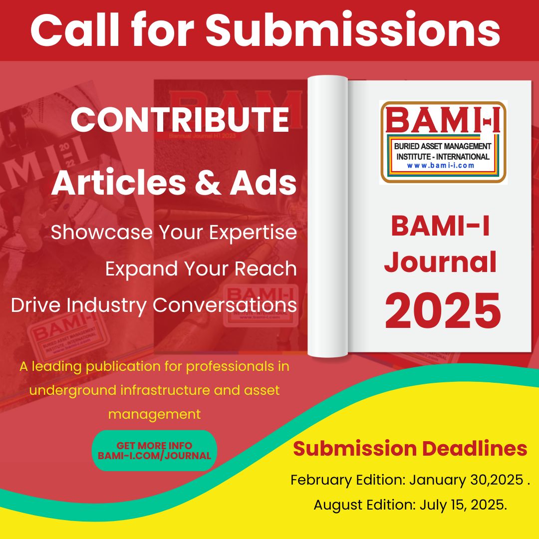Call for Submissions: BAMI-I Journal 2025